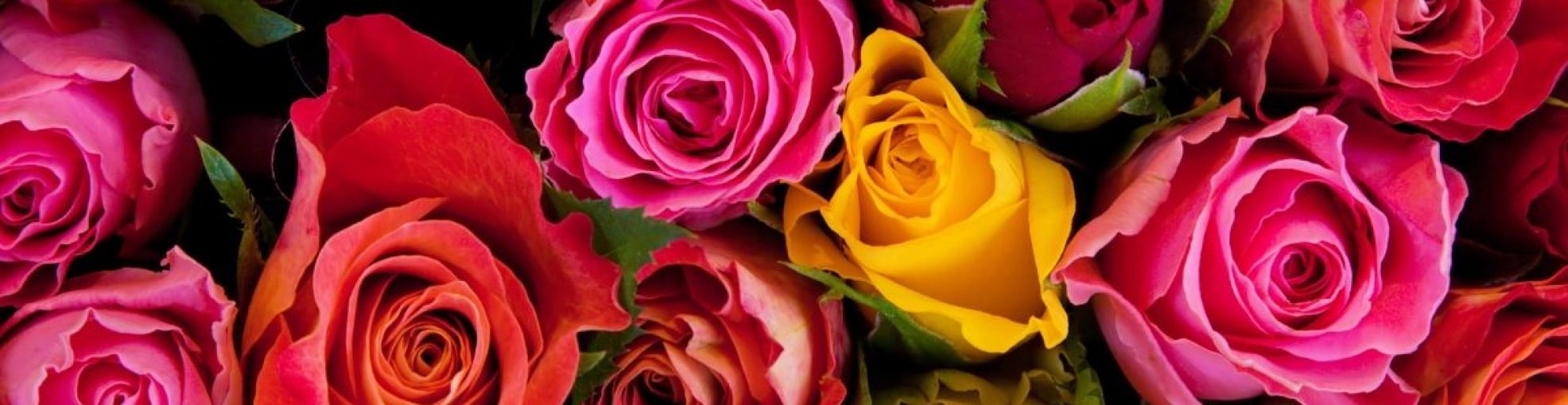 buying-flowers-banner-1200x600